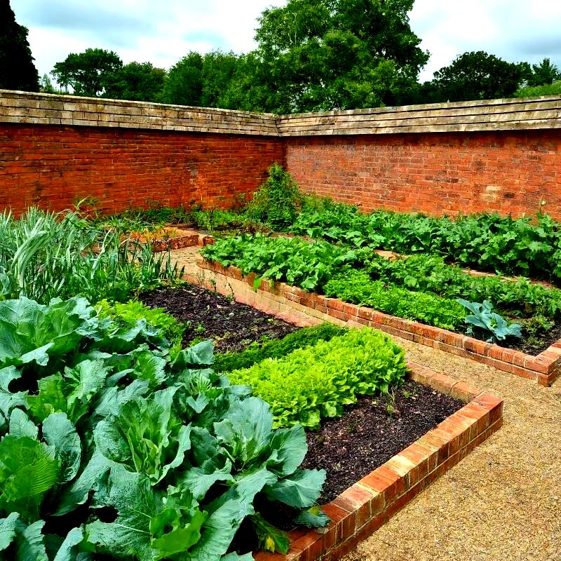 English garden vegetable walled garden