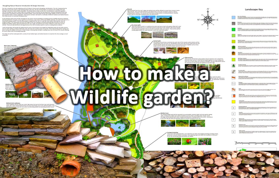 How to make a wildlife garden