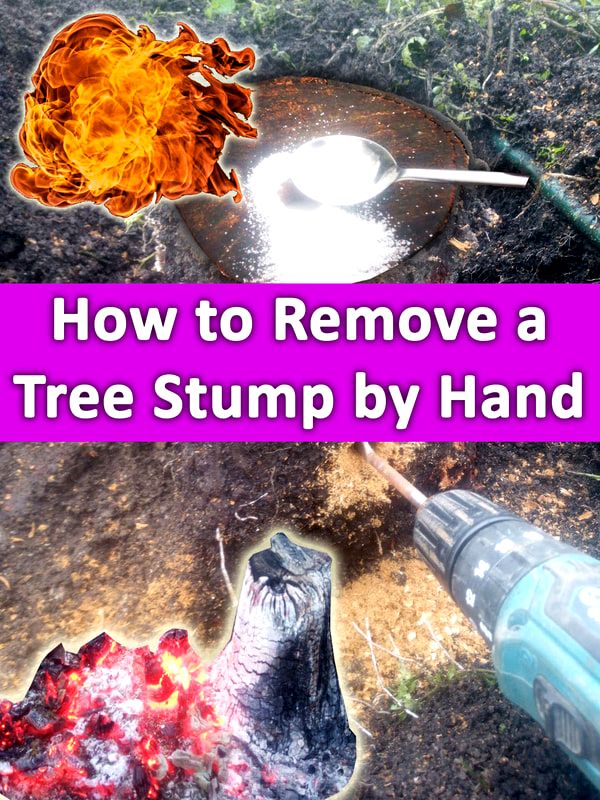 How to remove a tree stump by hand