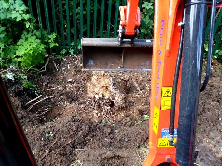 Digging out roots with an excavator