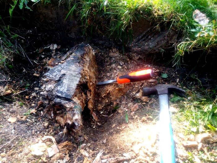 Removing a tree stump with a chisel 