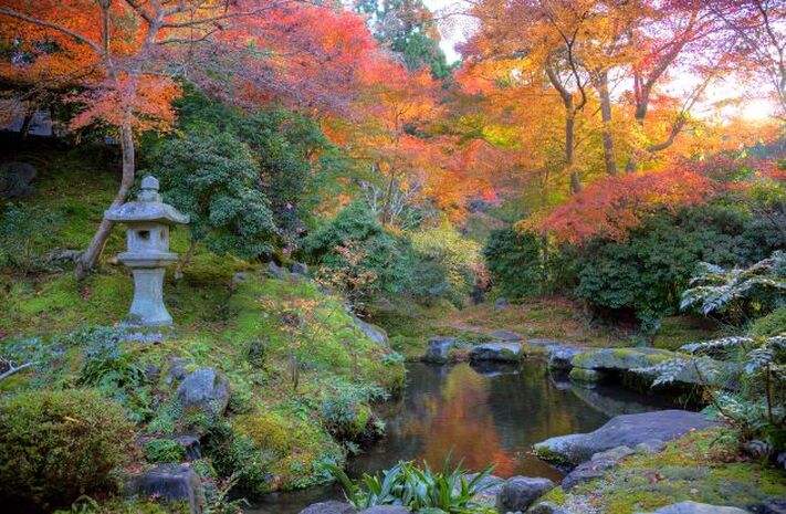 Japanese garden trees
