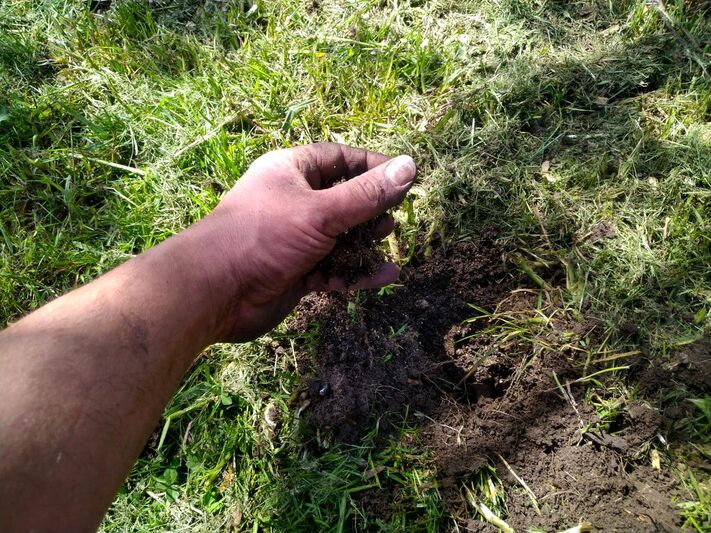 Adding topsoil to a meadow