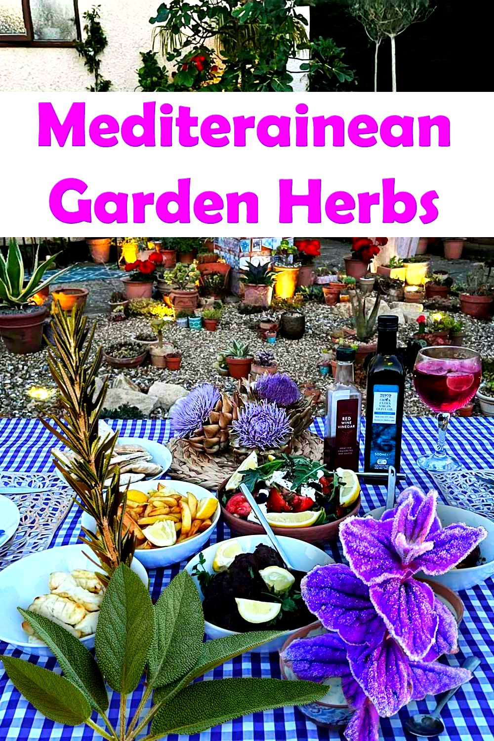 Mediterranean garden herbs
