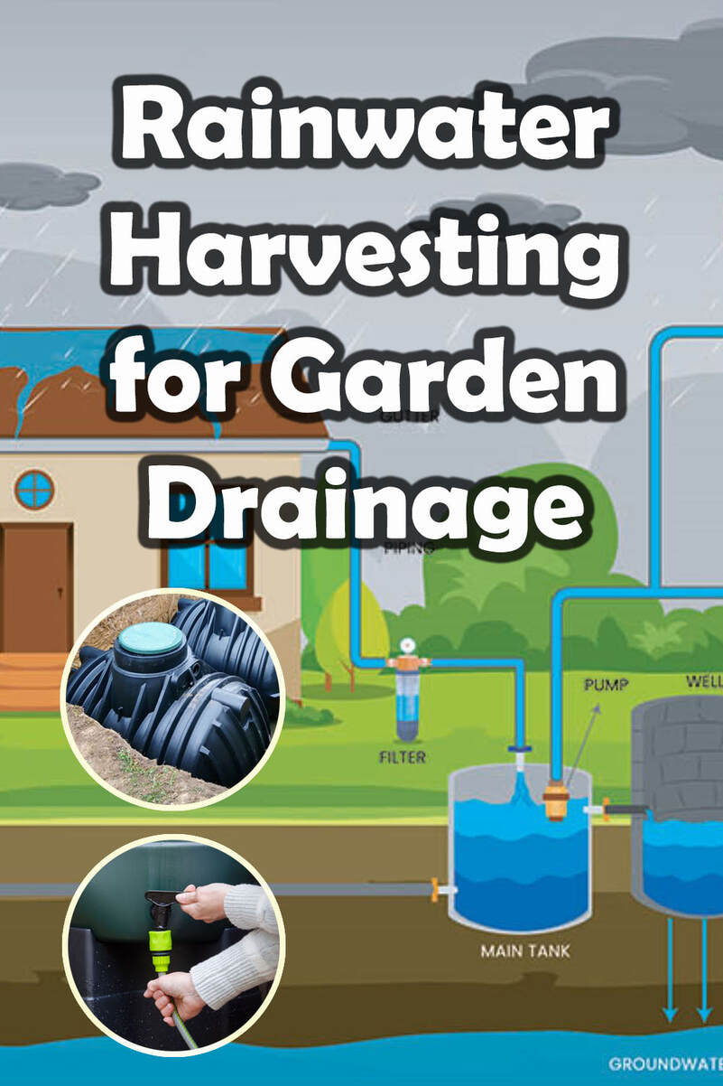 Rainwater harvesting for garden drainage