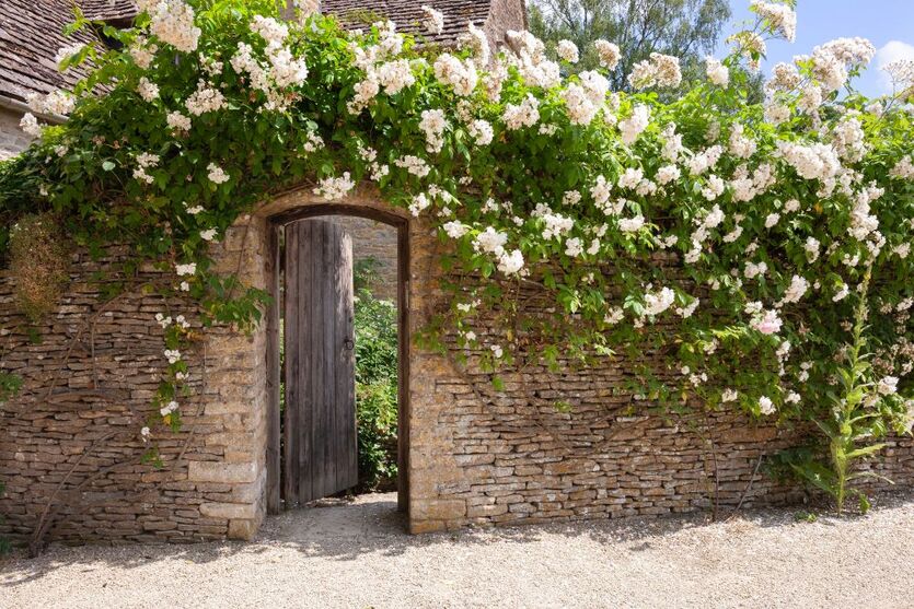Rustic English garden wall