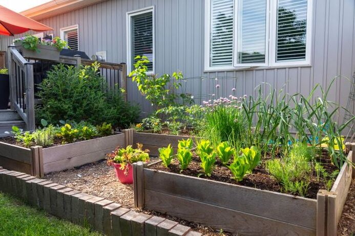 Raised beds with planks
