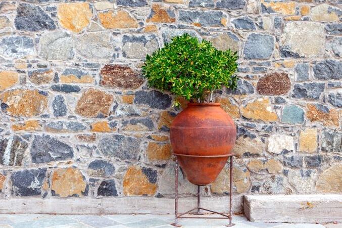 Terracotta pots