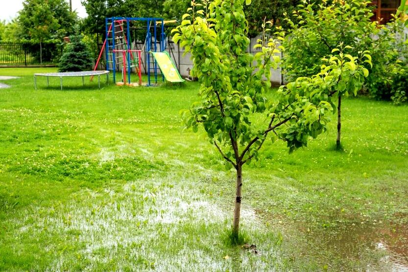 Wet garden
