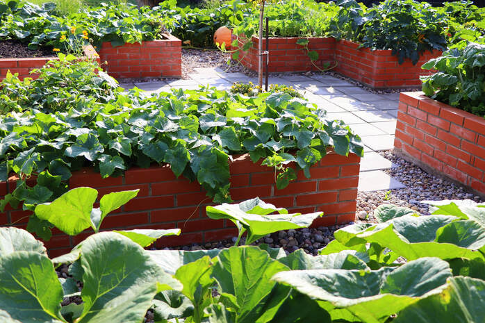Raised beds built with bricks