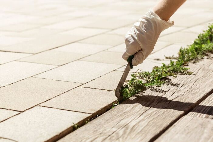 Removing weeds from block paving