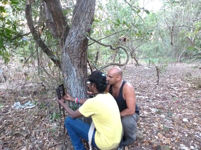 Setting up trail cameras