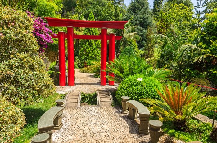 Tropical looking Japanese gardens