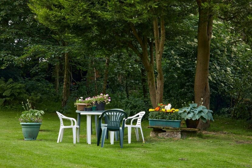 Woodland garden seating area