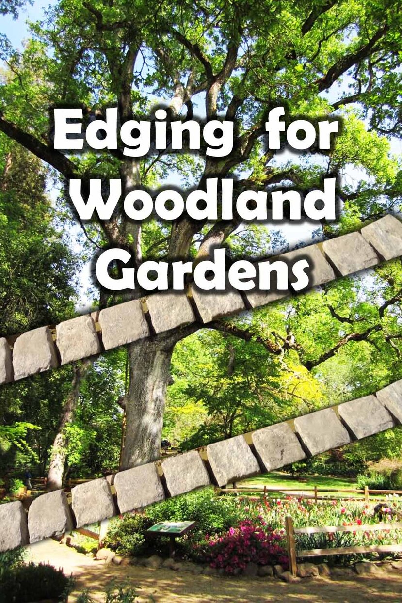Woodland garden edging