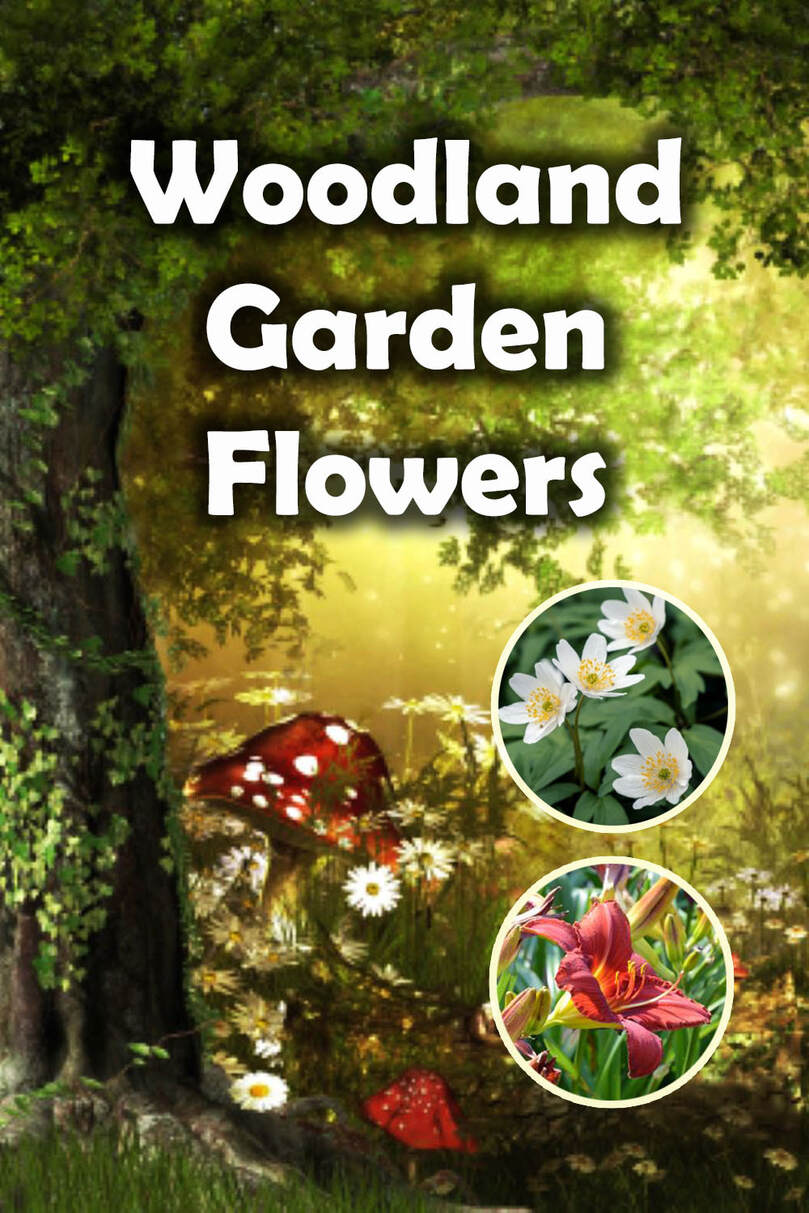 Woodland garden flowers
