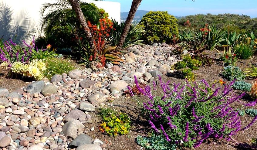 Xeriscaping landscaping