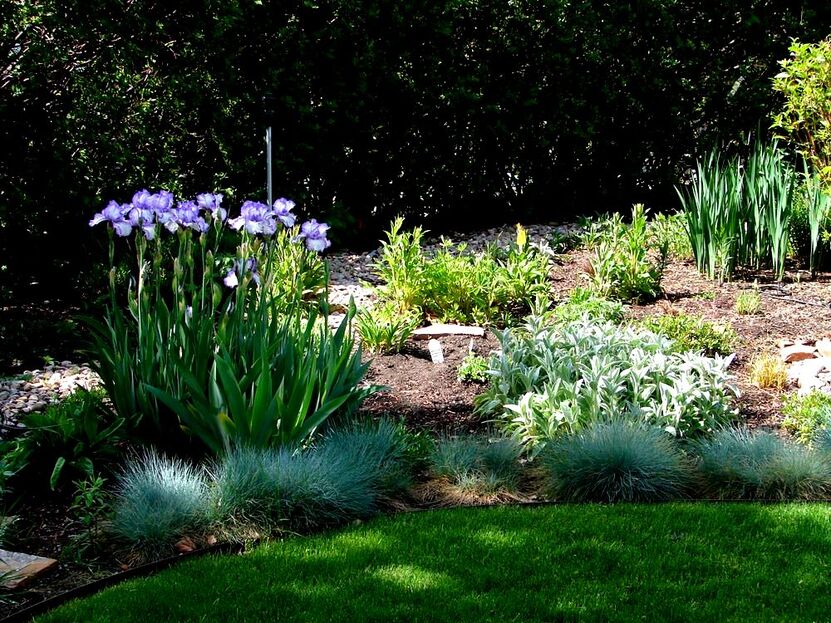 Xeriscaping planting