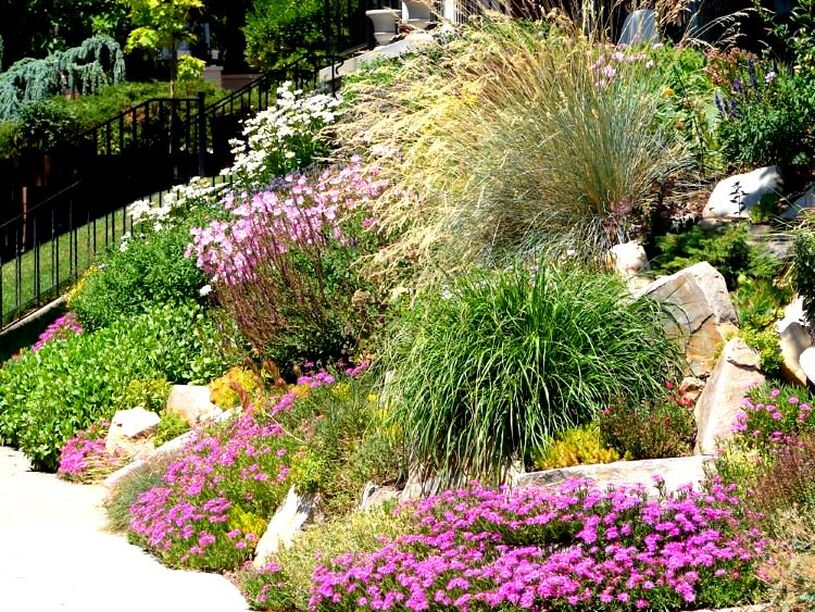 Xeriscaping landscaping 