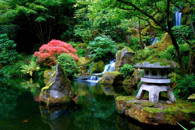 Japanese woodland garden