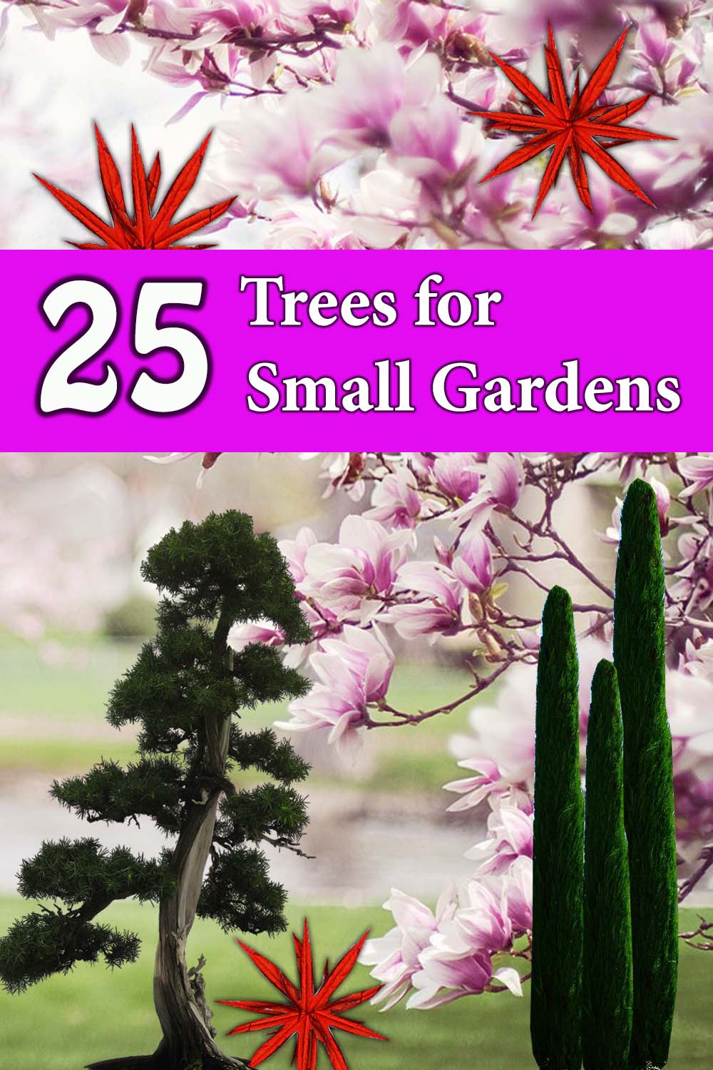 Trees for small gardens