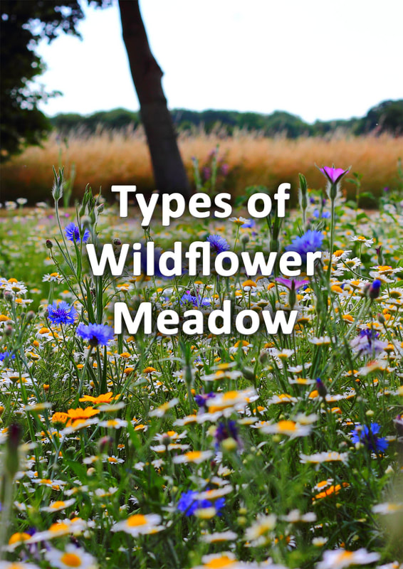 Types of wildflower meadow