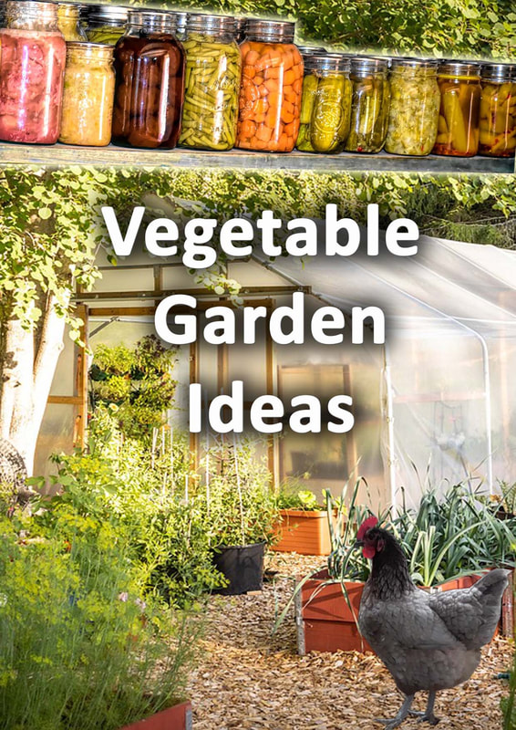 Vegetable garden ideas