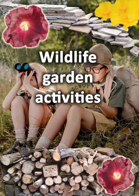 Wildlife garden activities