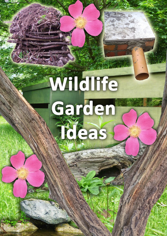 Wildlife garden ideas